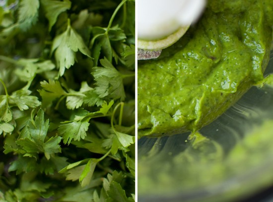 avocado chimichurri sauce