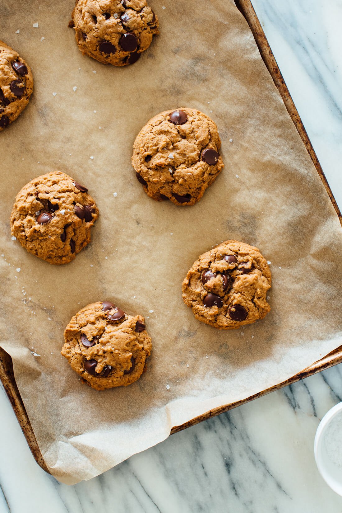 Delicious baked chocolate chip cookies