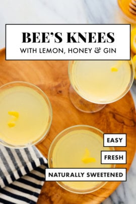 bee's knees cocktail