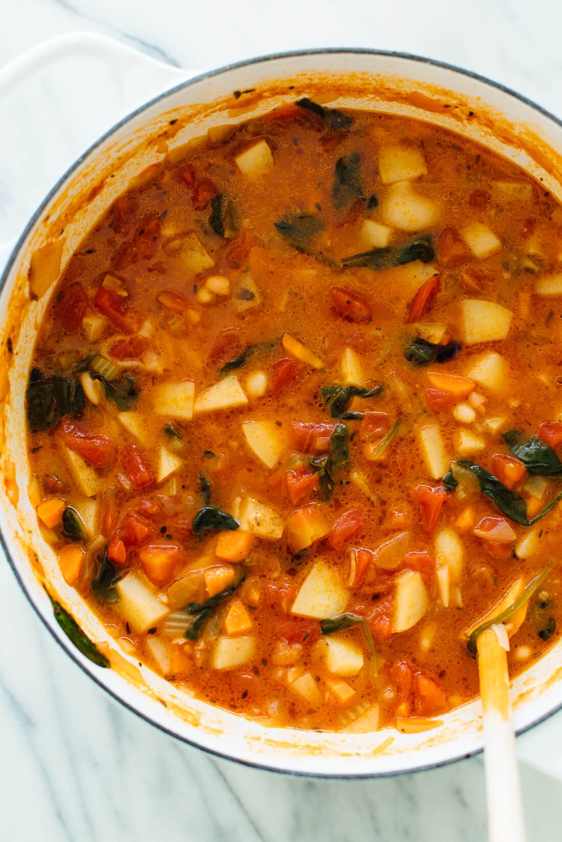 best minestrone soup recipe