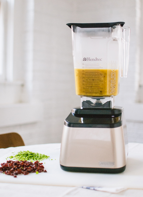 Blendtec Designer Series Blender with Wildside Jar