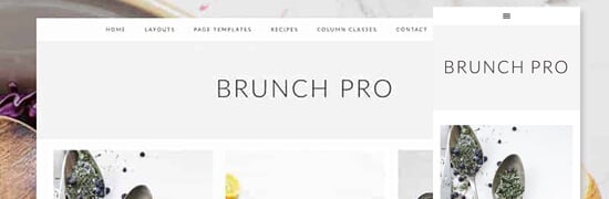 Brunch Pro theme