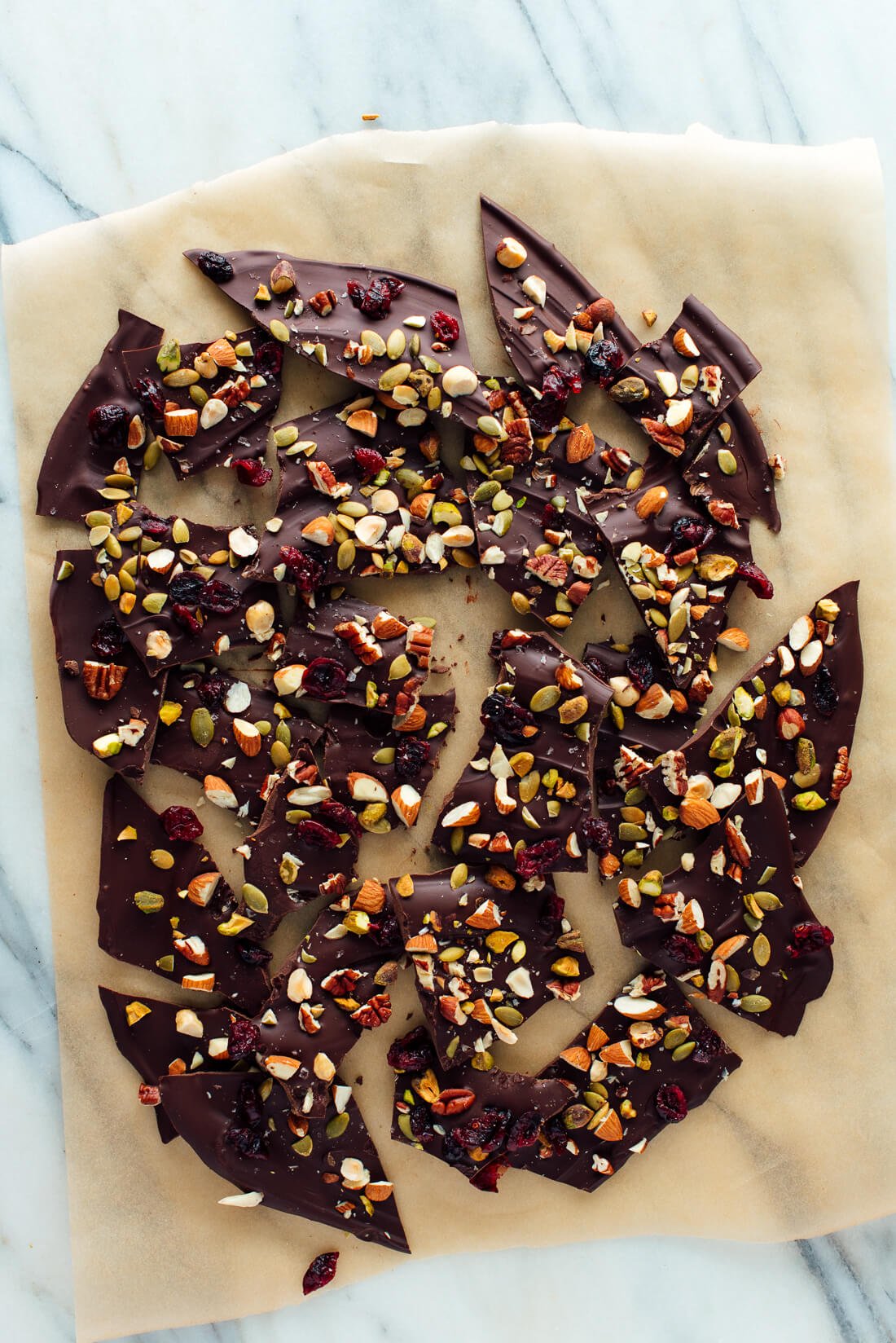 chocolate bark broken into pieces