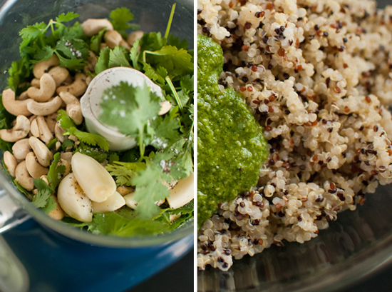 cilantro-cashew pesto