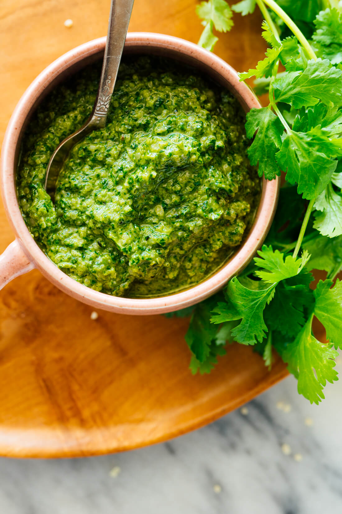 cilantro hemp pesto recipe