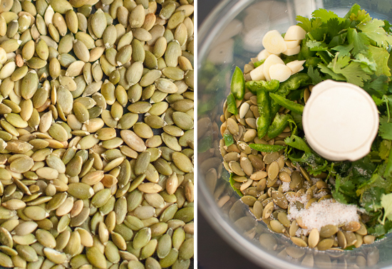 cilantro-pepita pesto ingredients