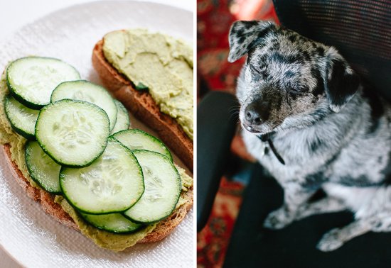 cucumber sandwich