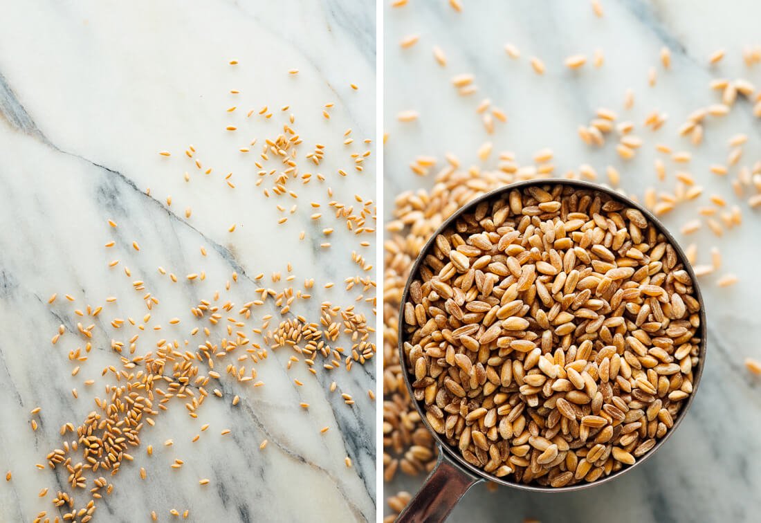 dried farro