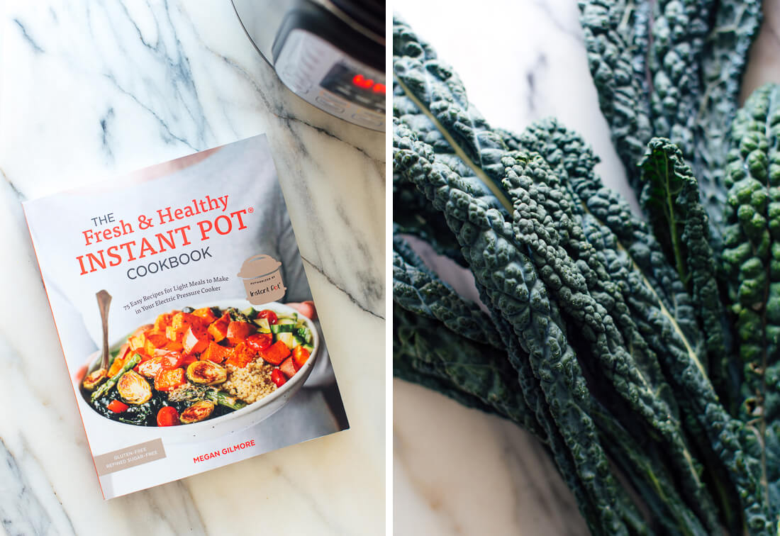 fresh and healthy instant pot cookbook