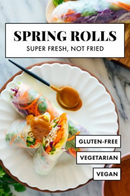 vegetarian/vegan spring rolls recipe