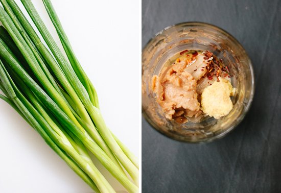 green onions and sesame dressing ingredients