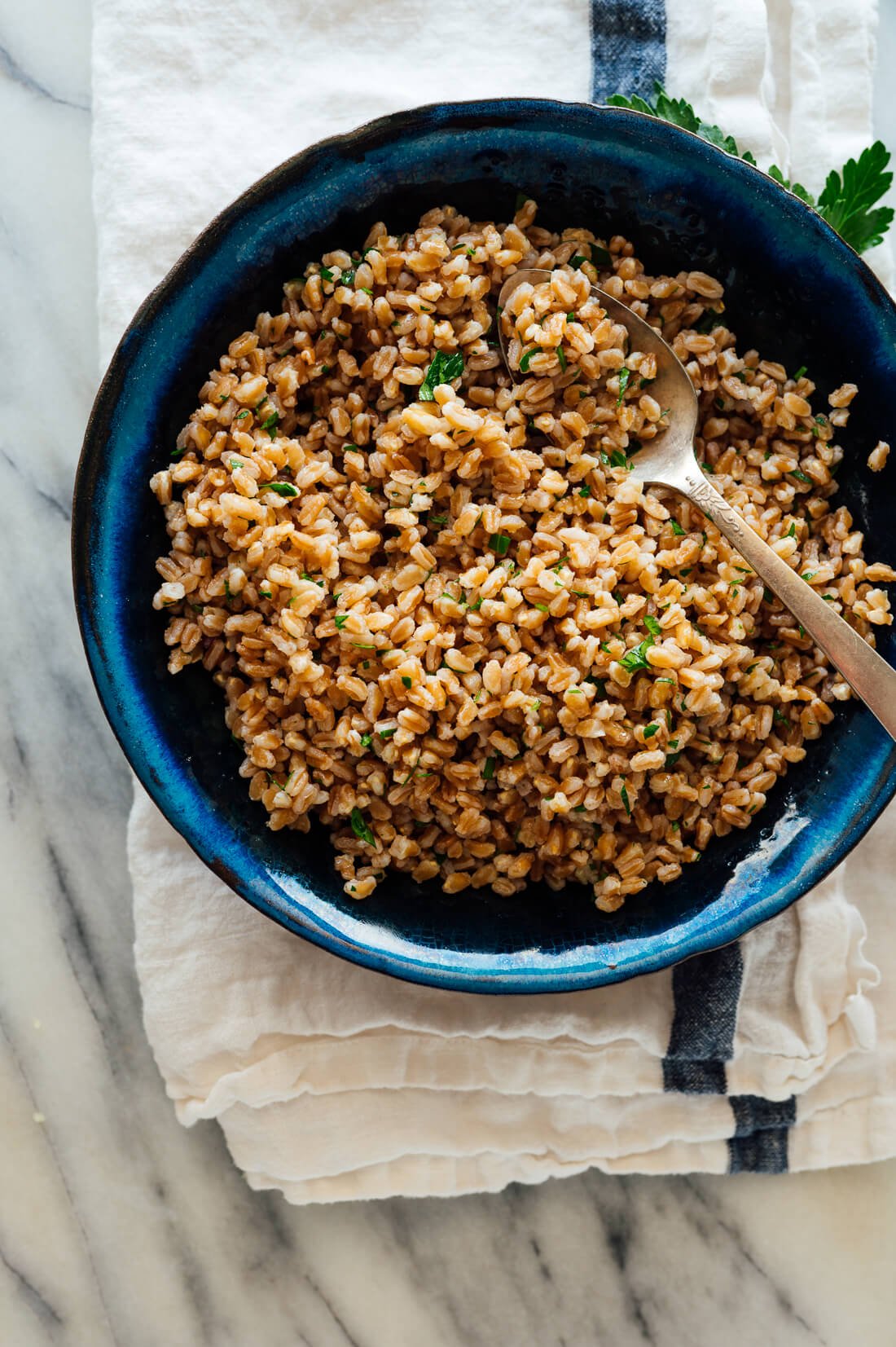 how to cook farro recipe