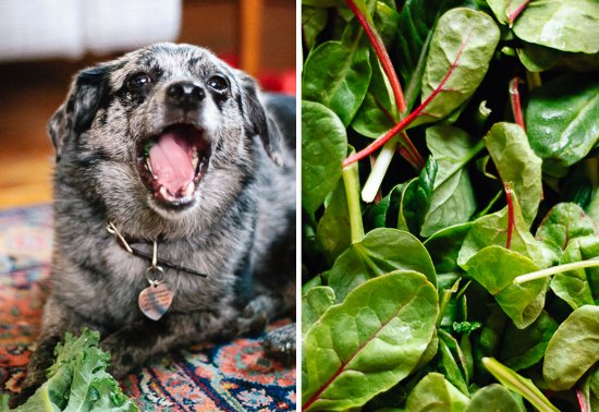 kale and cooking greens