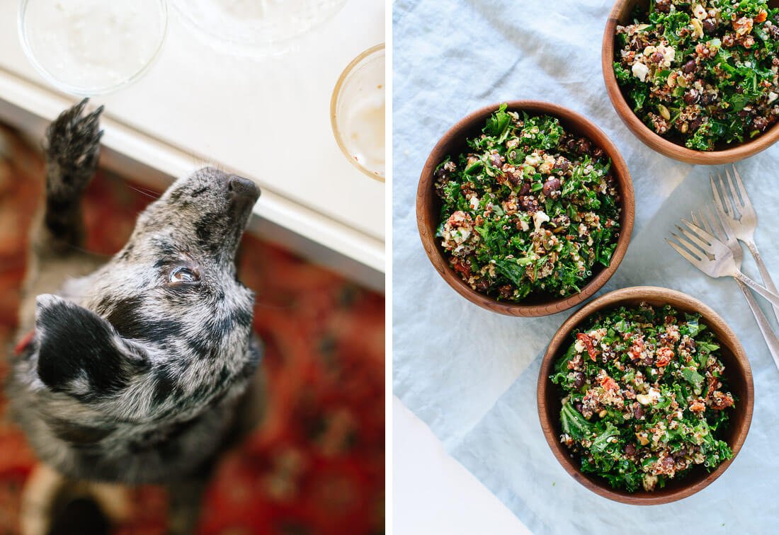 kale quinoa salad