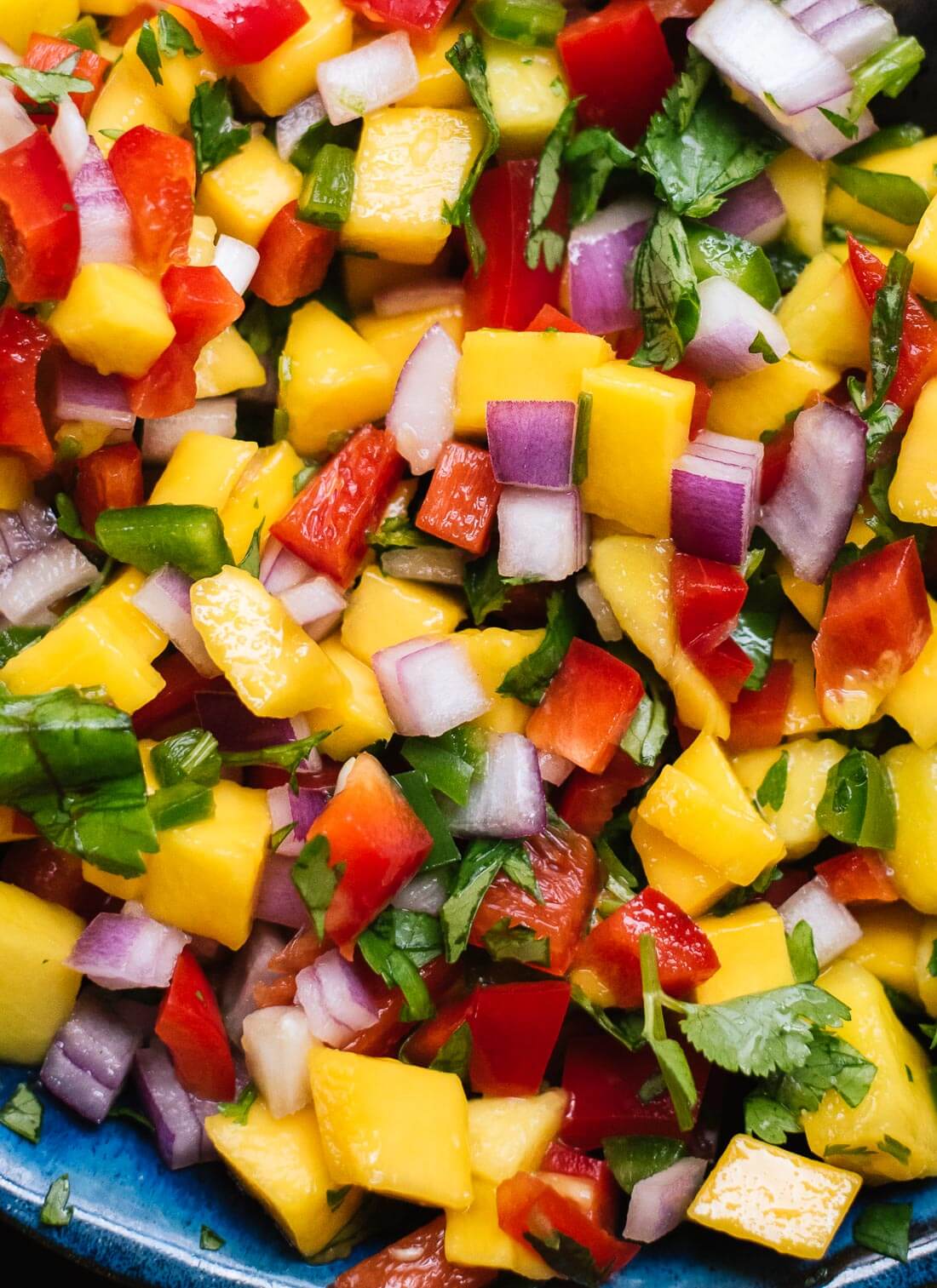 Fresh mango salsa recipe! So simple and so good. cookieandkate.com