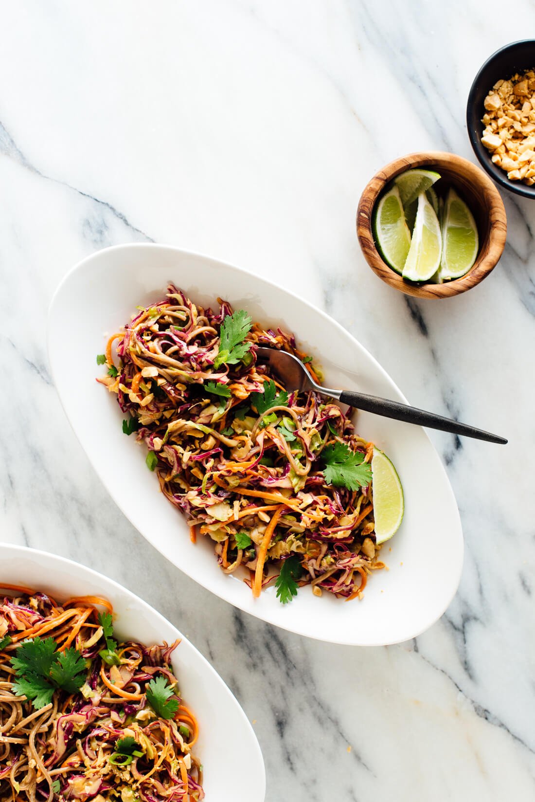 peanut soba noodles slaw recipe