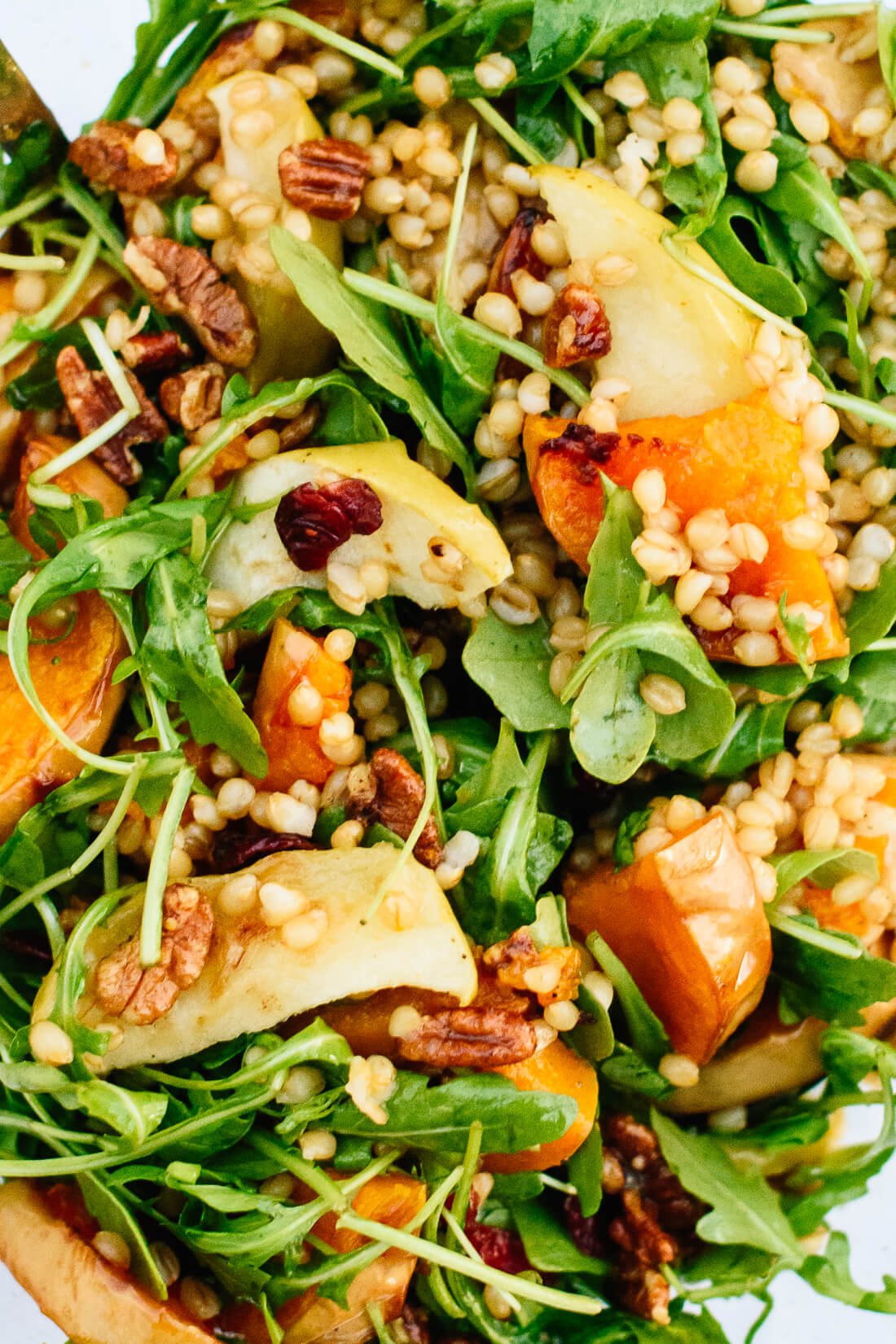 Roasted butternut squash, apple and wheat berry salad recipe