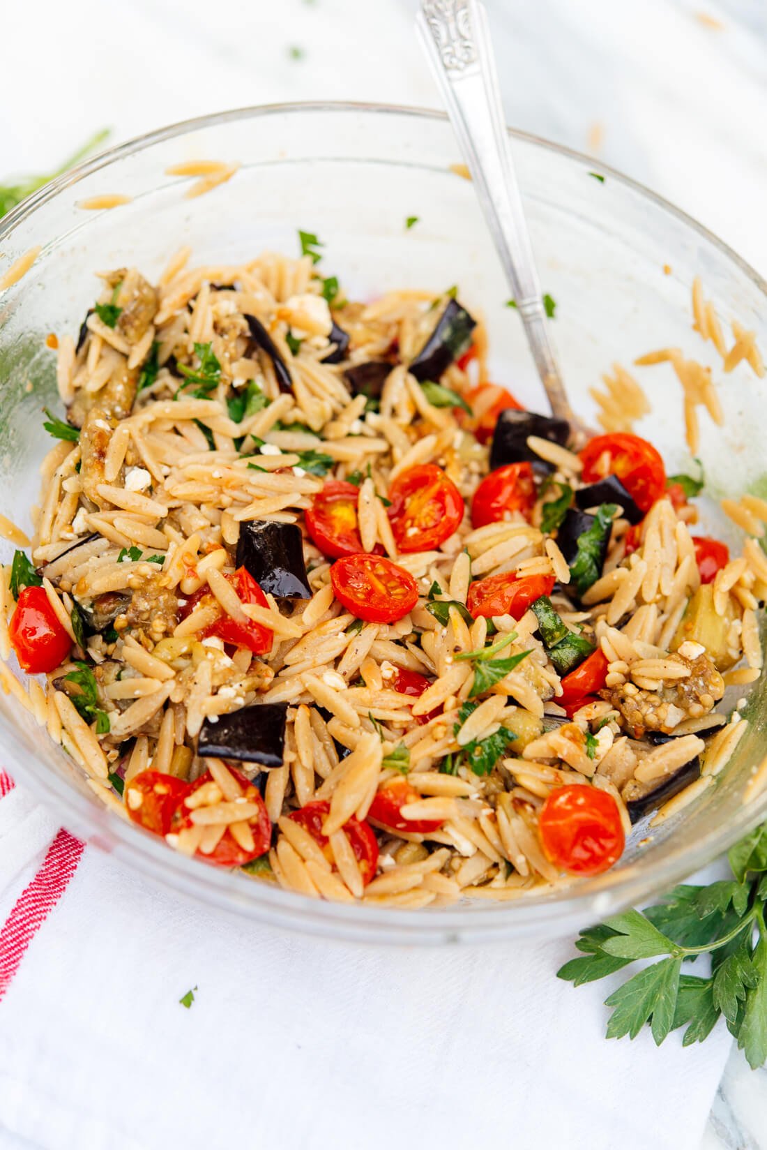 Roasted Eggplant and Tomato Orzo Pasta