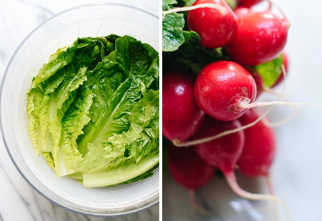 romaine and radishes