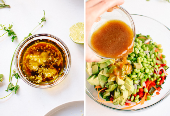 tamari-ginger vinaigrette