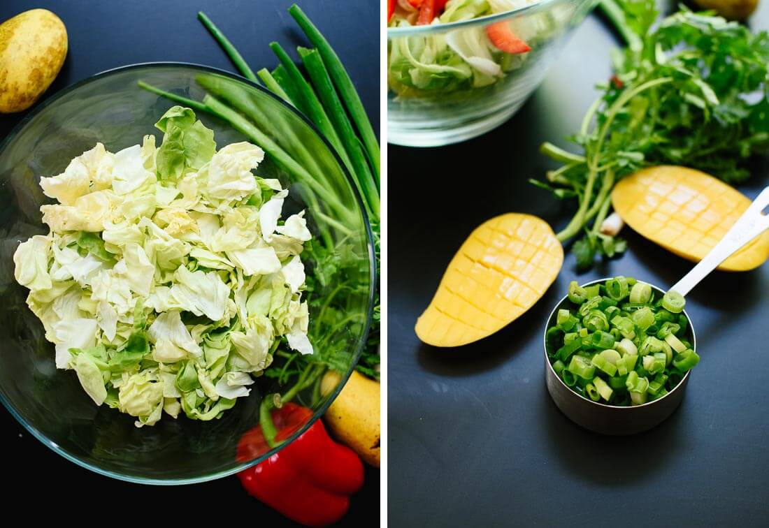 Thai mango salad ingredients