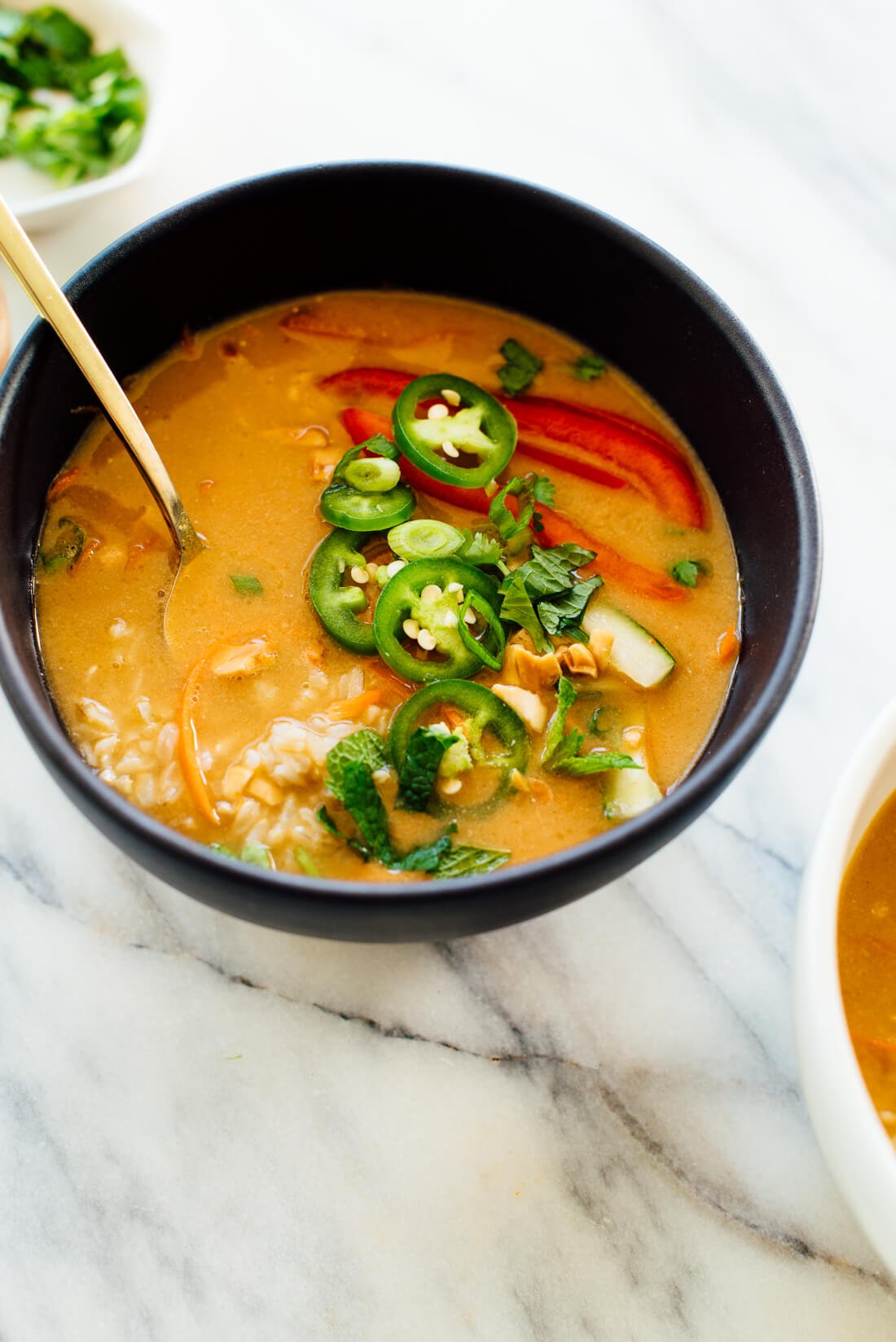 Thai-spiced rice bowls from The Minimalist Kitchen Cookbook