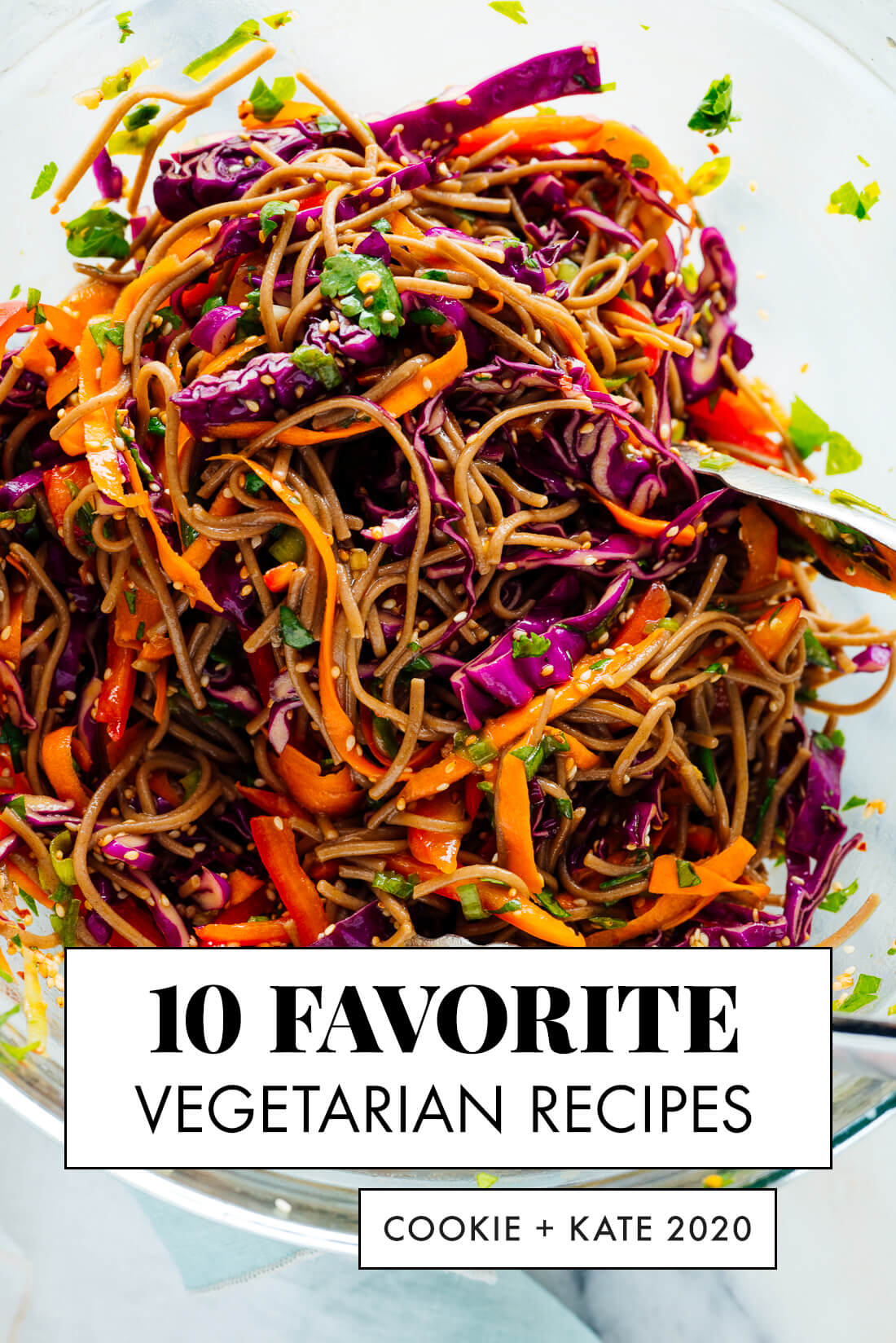 top 10 vegetarian recipes 2020